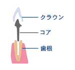 コアとは