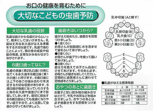 お口の健康を育むために